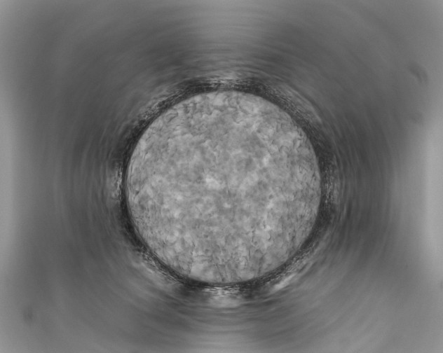 X0000110990660200907171753