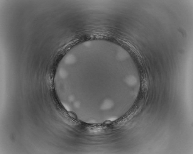X0000110990661200907171753