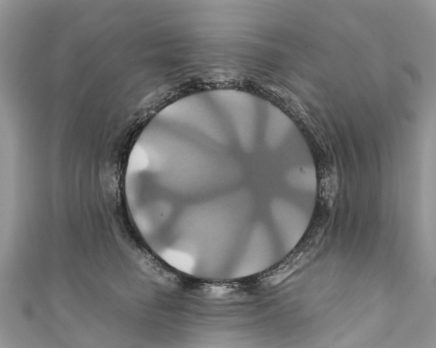 X0000110990662200907171753