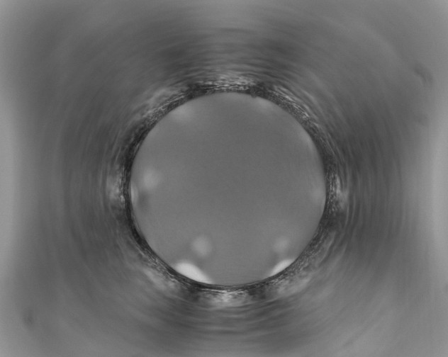 X0000110990663200907171753