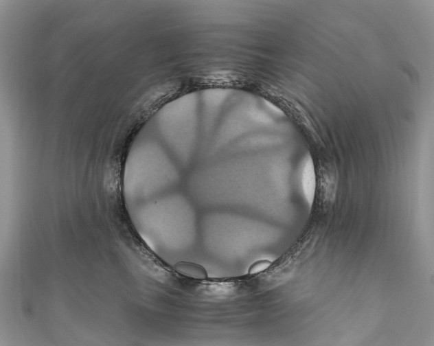 X0000110990665200907171753