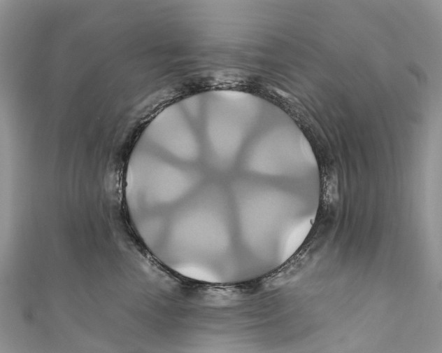 X0000110990666200907171753
