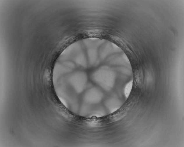 X0000110990667200907171753