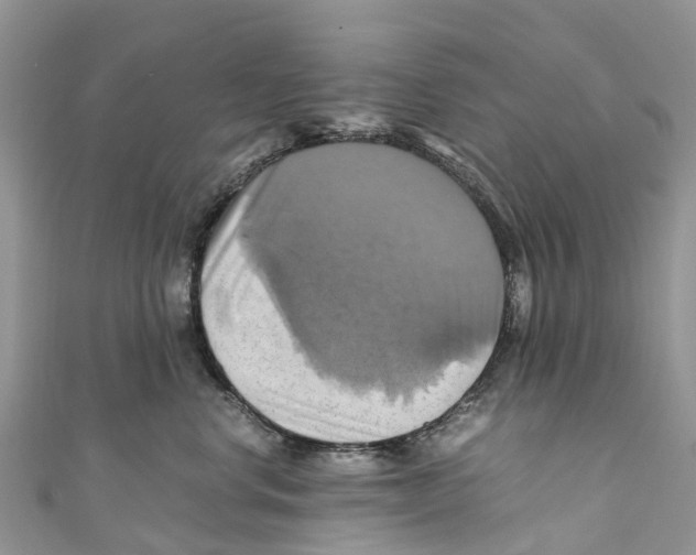 X0000110990668200907171753
