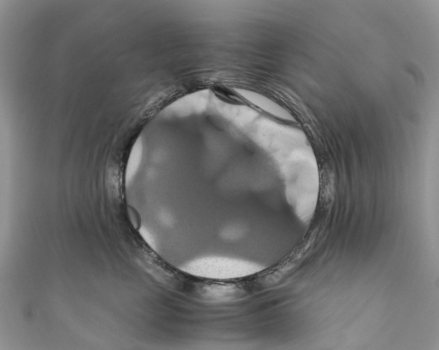 X0000110990669200907171753