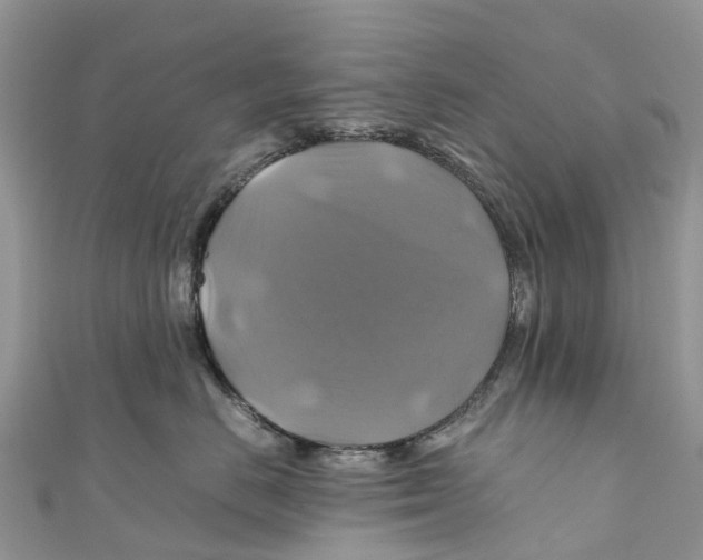 X0000110990670200907171753