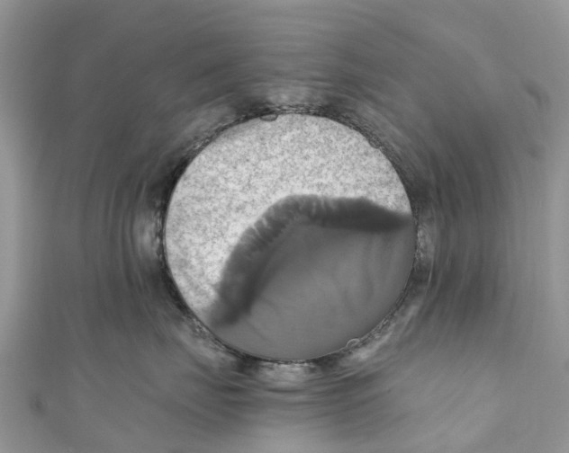 X0000110990671200907171753