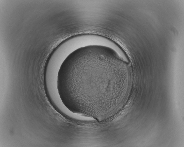 X0000110990673200907171752
