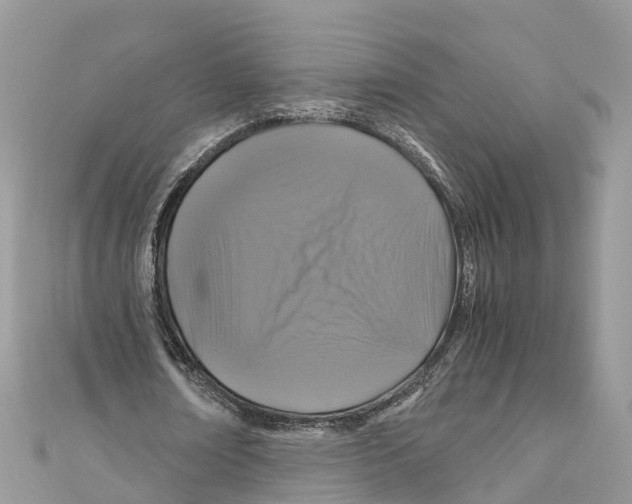 X0000110990674200907171752