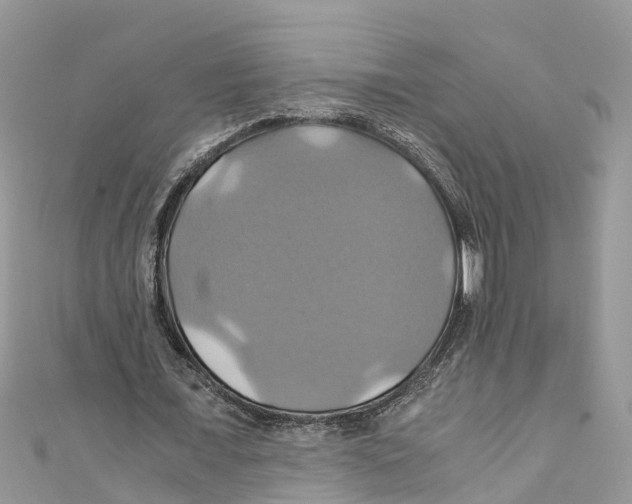 X0000110990675200907171752