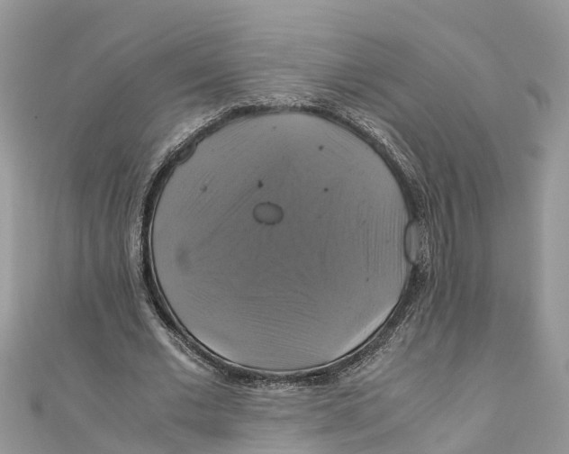 X0000110990677200907171752