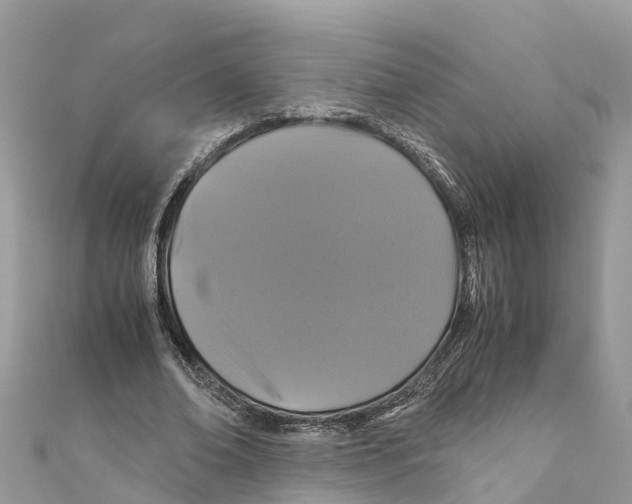 X0000110990678200907171752