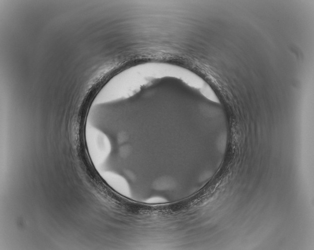 X0000110990679200907171752