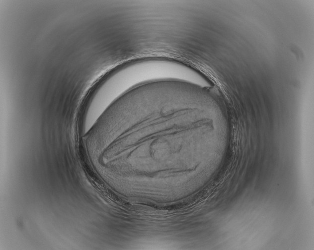 X0000110990680200907171752