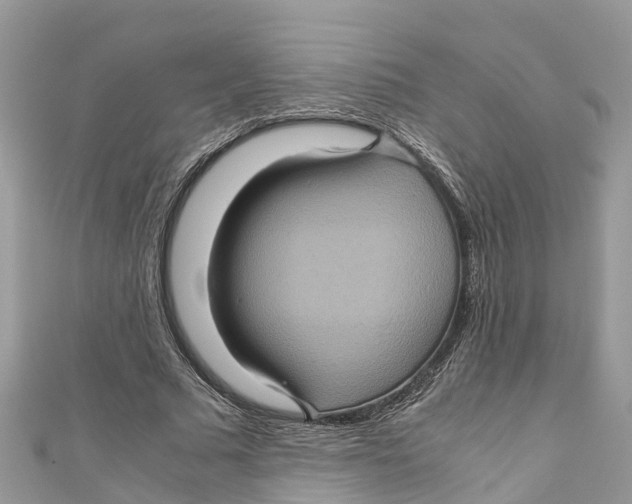 X0000110990681200907171752