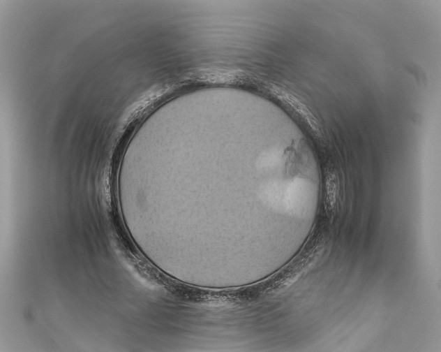 X0000110990682200907171752