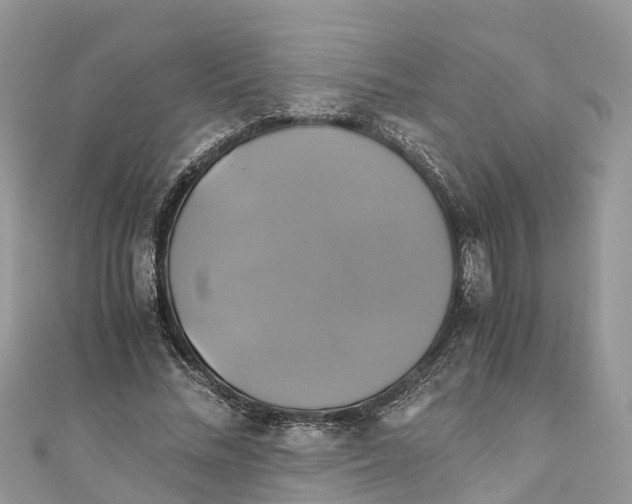 X0000110990684200907171752