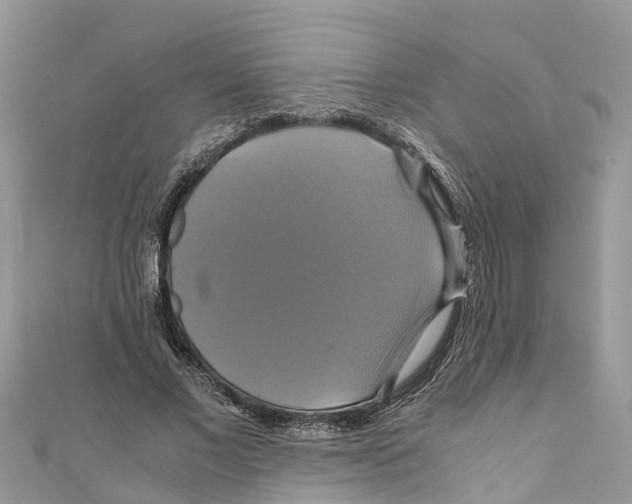 X0000110990685200907171752