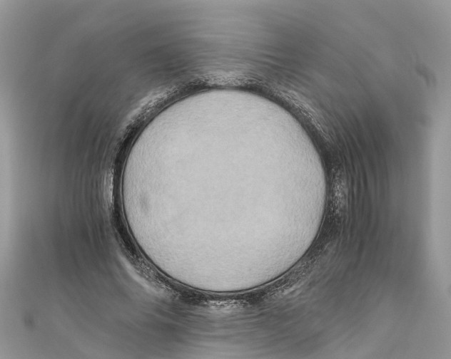 X0000110990686200907171752