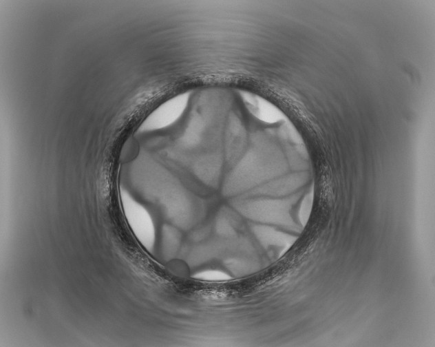 X0000110990687200907171752