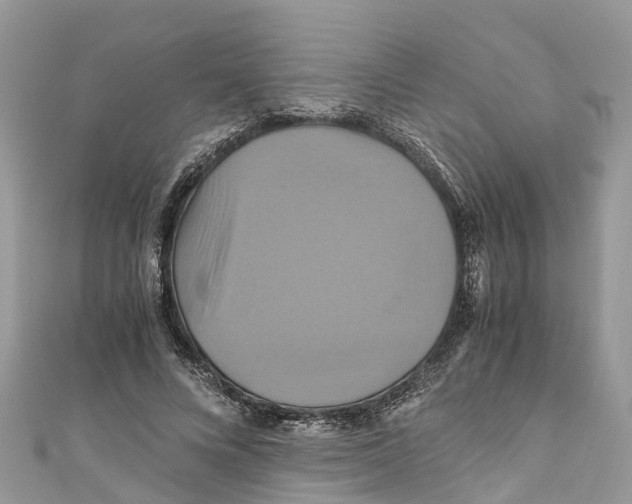 X0000110990688200907171752