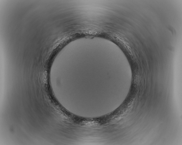 X0000110990689200907171752