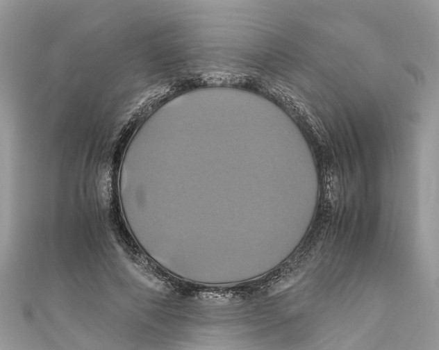 X0000110990690200907171752