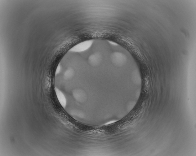 X0000110990691200907171752