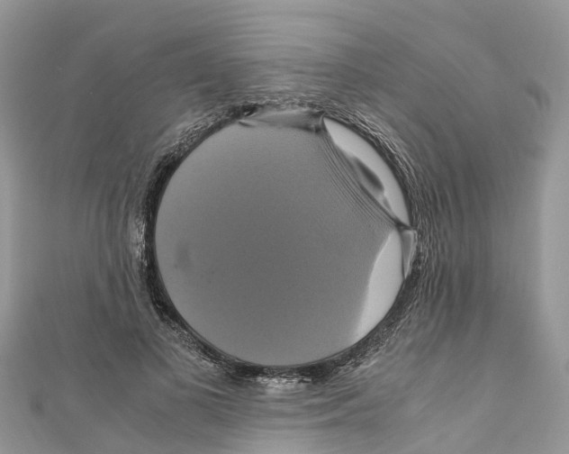 X0000110990693200907171752
