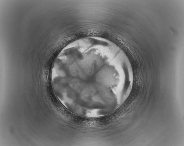 X0000110990695200907171752