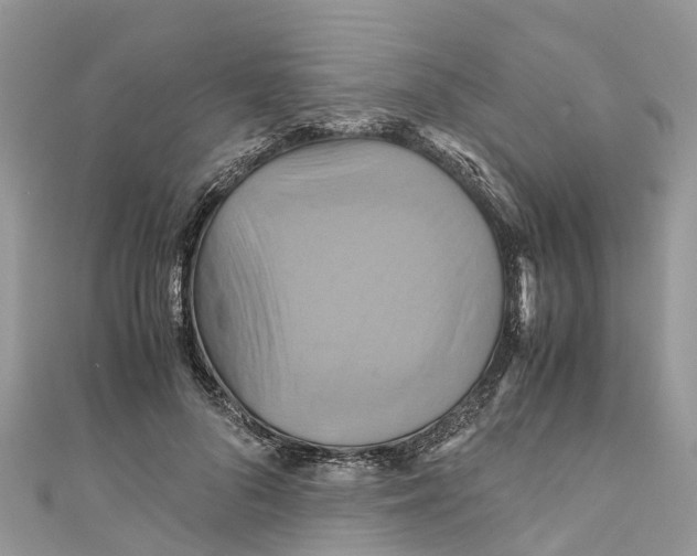 X0000110990696200907171752