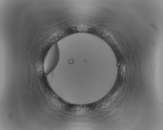 X0000110990697200907171752