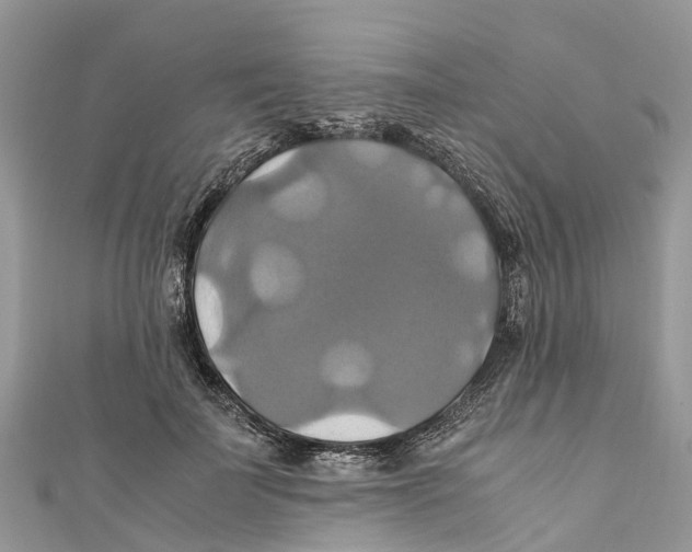 X0000110990699200907171752