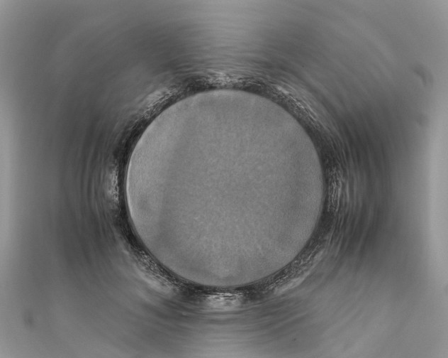 X0000110990700200907171752