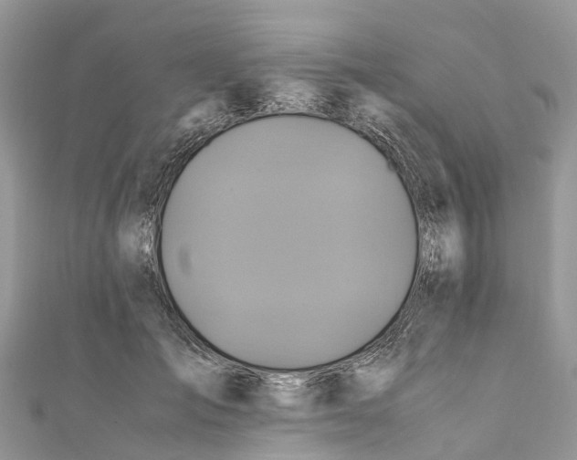 X0000110990701200907171752