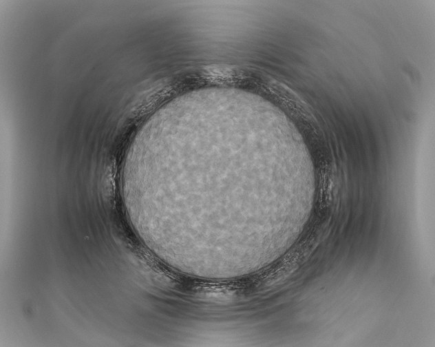X0000110990702200907171752