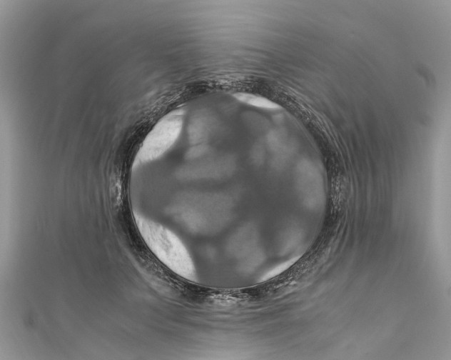 X0000110990703200907171752