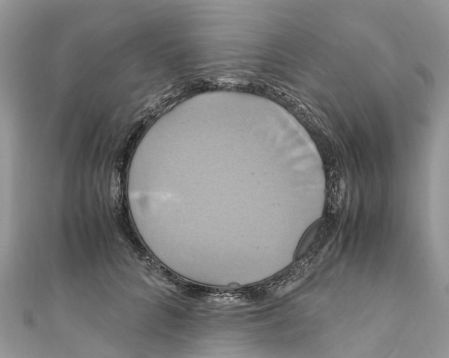 X0000110990704200907171752