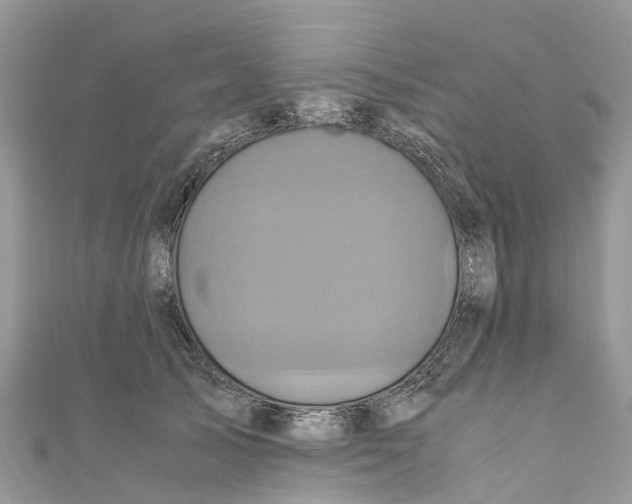 X0000110990705200907171752