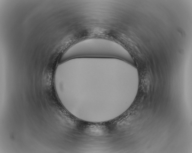 X0000110990708200907171752