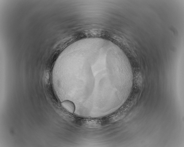 X0000110990709200907171752