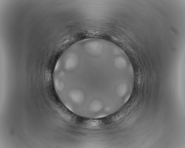 X0000110990711200907171752