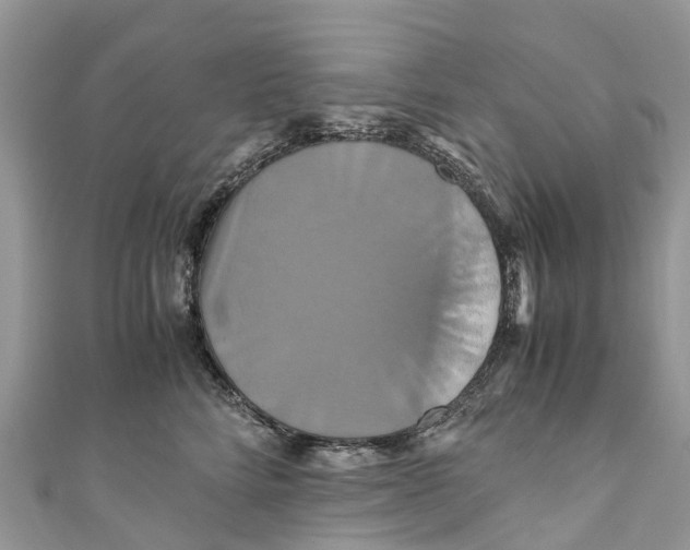 X0000110990712200907171752