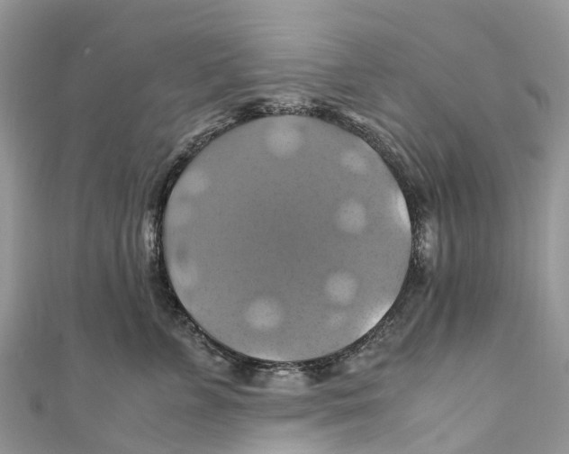 X0000110990715200907171752