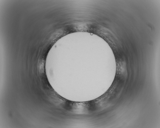 X0000110990717200907171752