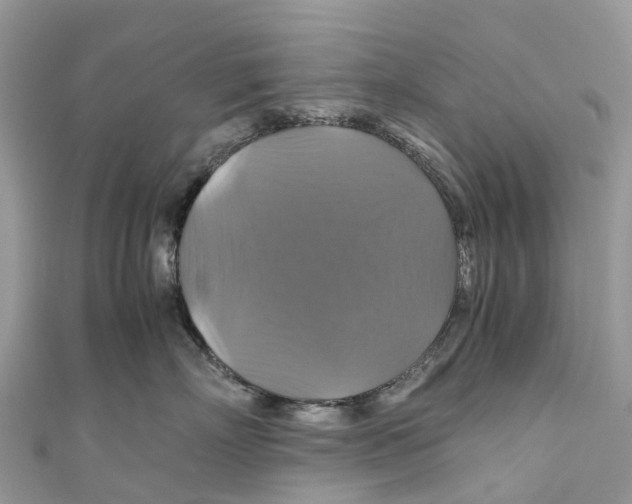 X0000110990718200907171752