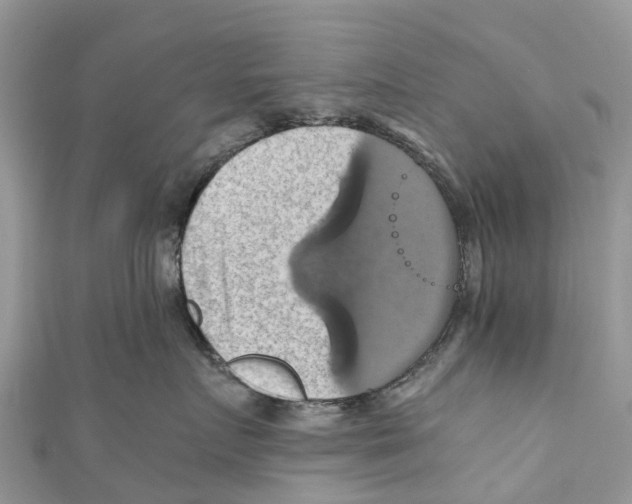 X0000110990719200907171752