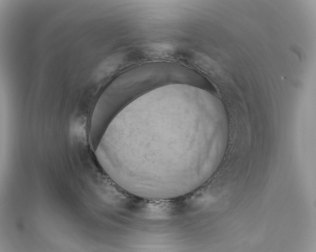 X0000110990720200907171752