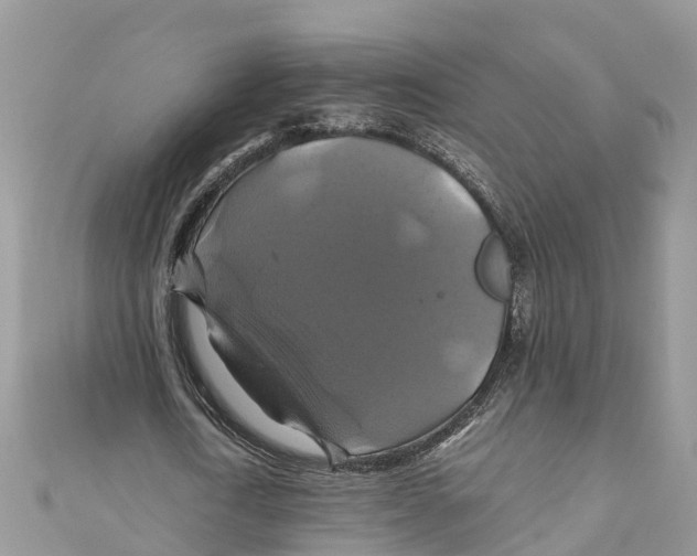 X0000110990722200907171751