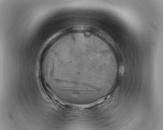 X0000110990724200907171751